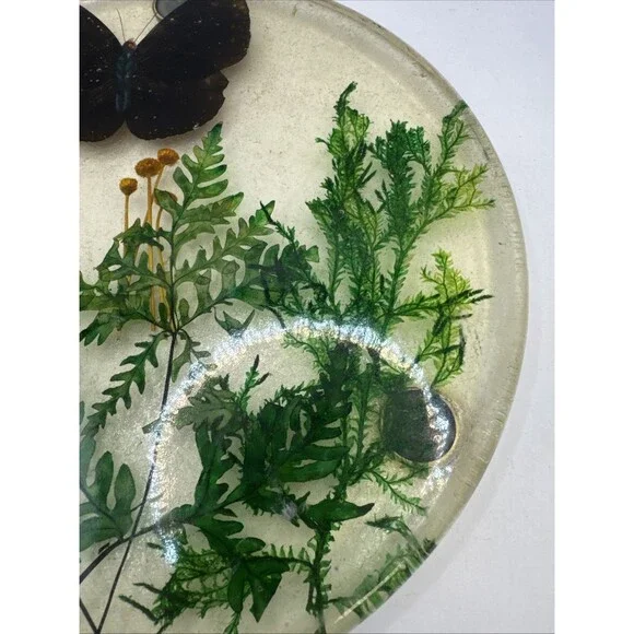 Vintage Lucite 7.75” Butterfly & Ferns Leaves Round Trivet hot plate - Picture 3 of 5